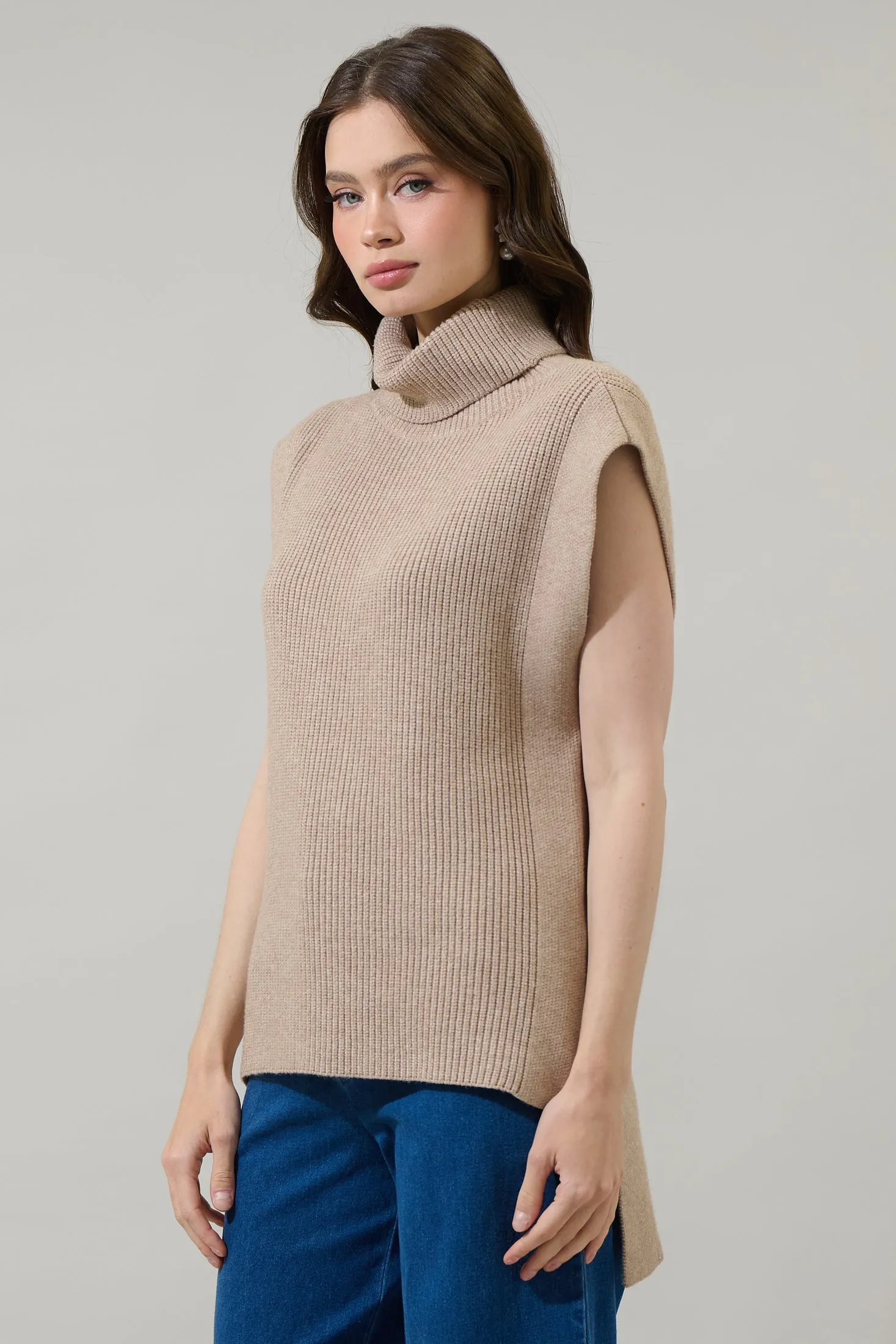 Aleida Turtle Neck Sleeveless Sweater Top