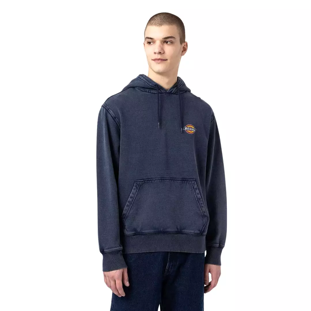 Icon Washed Hoddie