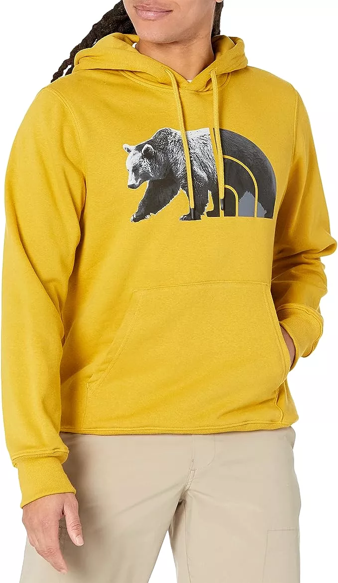 TNF Bear Pullover Hoodie Men's