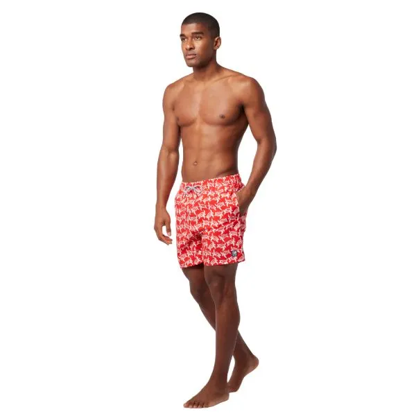 TOM & TEDDY - Men's Shorts  (Red & White Turtles)